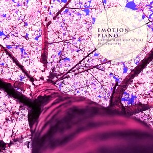 달콤한 낮잠 (A Sweet Nap)