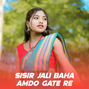 Sisir jali baba amdo gate re