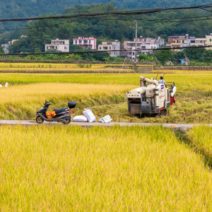 我爱上了你哟——结对帮扶之歌 伴奏