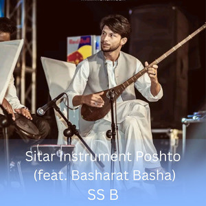 Sitar Instrument Poshto