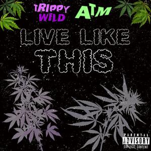 Live Like This (feat. ATM) [Explicit]