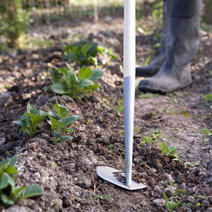 Dont Make Me Wait Babygirl (feat. BBCDaddy)