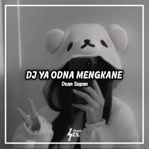 DJ Cipegi X Ya Odna Mengkane