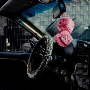 Ciervoss - EL ARTE DE LOS CANIS