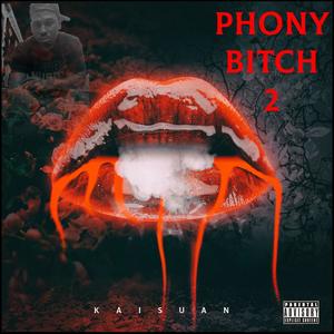 Phony ***** 2 (Explicit)