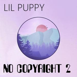 I Wasn't Supposed To Release This Song