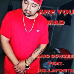 ARE YOU MAD (feat. HELLAFONTE) (Explicit)