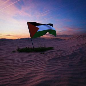 l'herbe n'est pas plus verte ailleurs (feat. Nowahh & AVEN999) (Explicit)