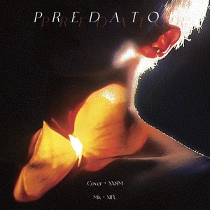 Predator