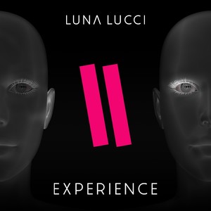 Experience (Explicit)