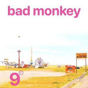 Bad Monkey