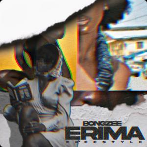 Erima Freestyle