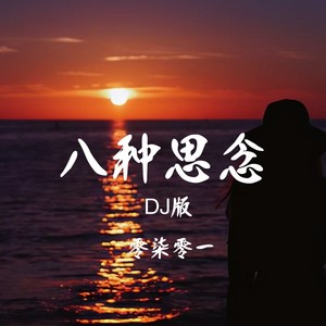 八种思念（DJHY版）