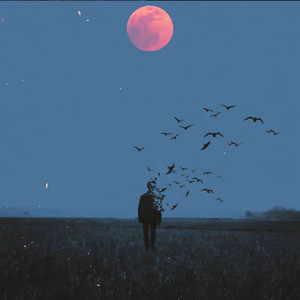 Wedding dress X mad X crash&burn