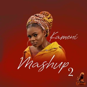 Mashup, pt. 2 (Locko, teni, burna boy|Explicit)