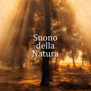 Incredibile ballade di mare