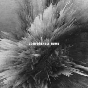 Comfortably Numb (Explicit)