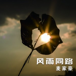 风雨同路