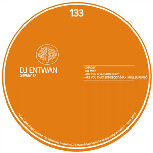 Are you that somebody (Original Mix)