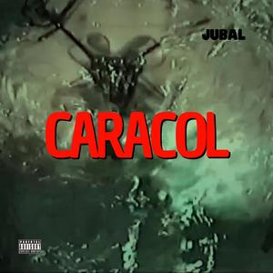 CARACOL (Explicit)