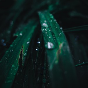 04【春雷阵阵】3D雨声.白噪音