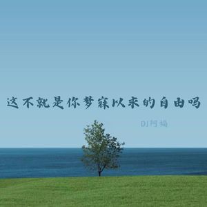 白鸽乌鸦 (氛围版DJ)