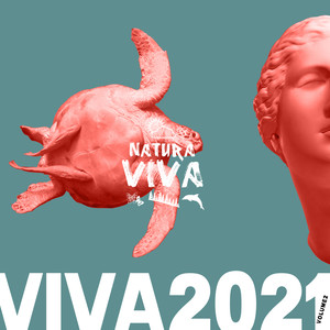 Viva 2021.2