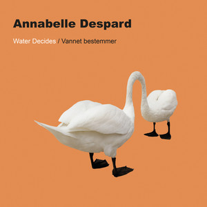 Water Decides/Vannet bestemmer