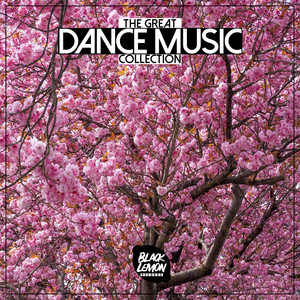 The Great Dance Music Collection