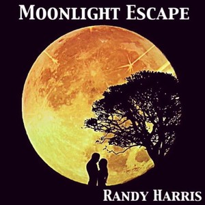 Moonlight Escape