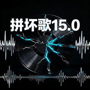 拼坏歌15.0 (DJ版)