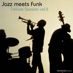 Praia Brava (A Drop of Funk Mix)