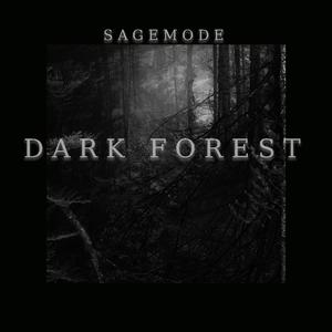 Dark Forest (Original Mix)