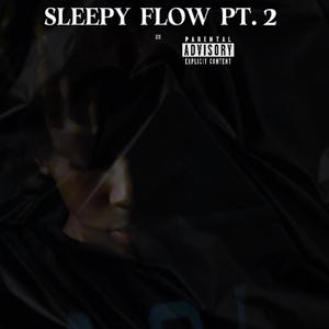 Sleepy Flow, Pt. 2 (Explicit)