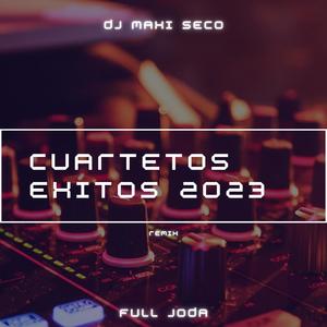 Cuartetos Exitos 2023 (Remix)