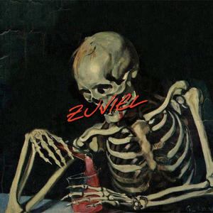 ZuViel (feat. CocoKoly) (Explicit)