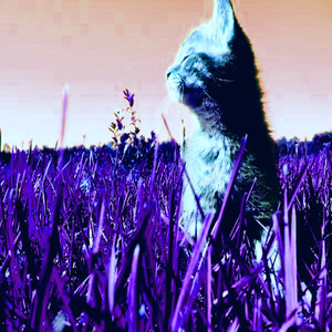 TheFuture (Explicit)