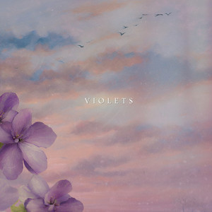 Violets