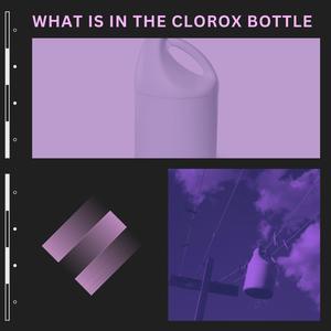 WHAT IS IN THE CLOROX BOTTLE