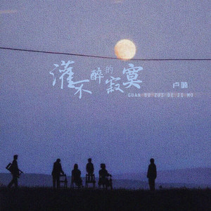 灌不醉的寂寞 (DJ版)