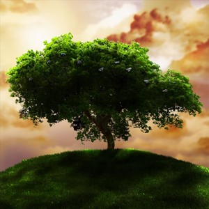 Little People (Explicit)