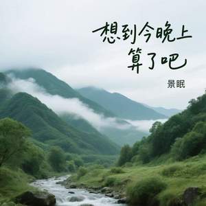 想到今晚上算了吧