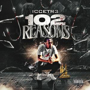 102 Reasons (Explicit)