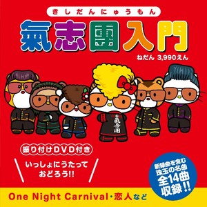 One Night Carnival 2013 (午夜嘉年華 2013)