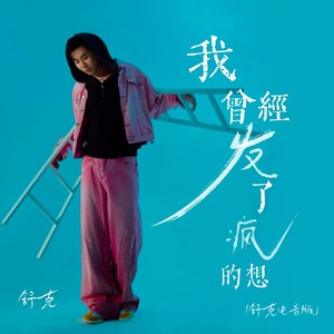 我曾经发了疯的想 (电音版)