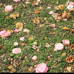 Stay for a while (Explicit)