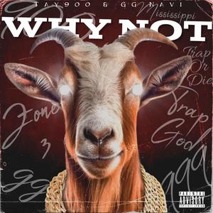 Why Not (feat. GG Navi) [Explicit]