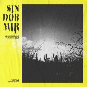 Sin Dormir (feat. Aandre Rolo)