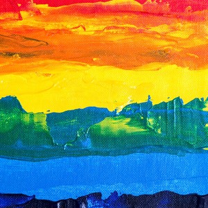 Haworthia - 不懂恋爱