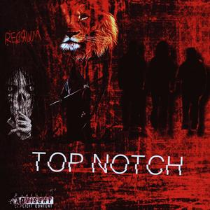 TOP NOTCH (feat. YS JAY & 2Poles1Me) [Explicit]
